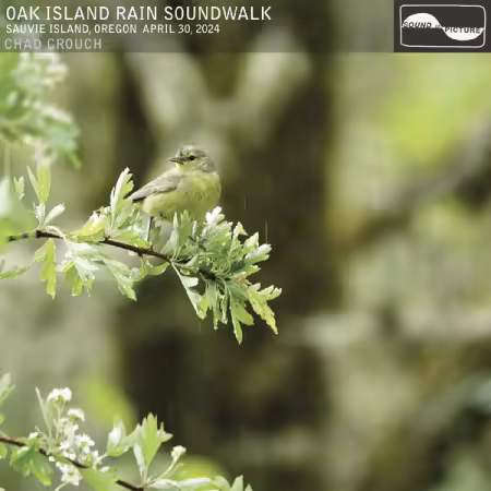 Chad Crouch – Oak Island Rain Soundwalk (2025)