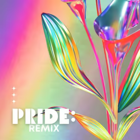 Various Artists – PRIDE Remix (2025)