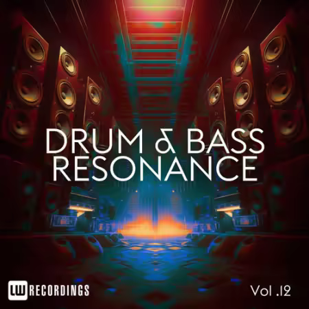 VA – Drum and Bass Resonance Vol.12 (2025)