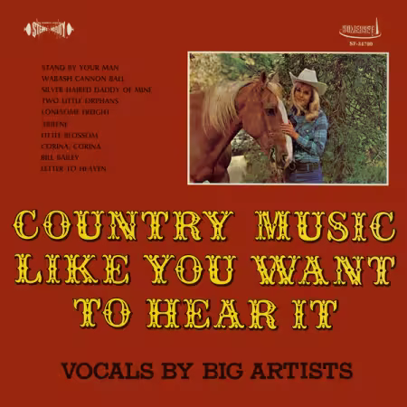 Various Artists – Country Music Like You Want to Hear It  (2016-2025 Remaster from the Original Somerset Tapes) (2025)