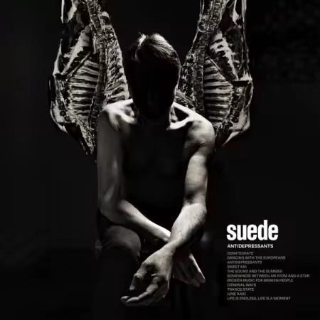 Suede – Antidepressants (2025)