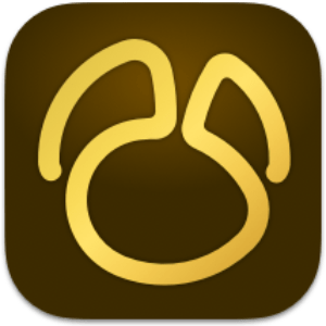 Navicat Premium 17.1.9 MacOS