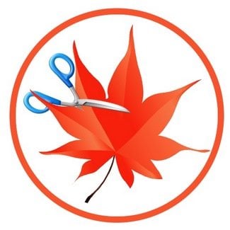 Easy Cut Studio 6.010 x64 Multilingual