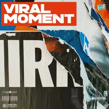 Flame Audio Viral Moment Pop Trap Beats WAV MiDi-FANTASTiC