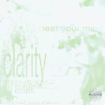 JUNK Clarity Kit WAV MiDi-FANTASTiC