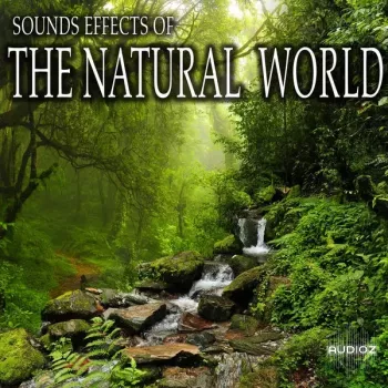 Sound Ideas Sound Effects Of The Natural World FLAC-FANTASTiC screenshot