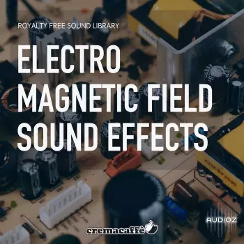 LofiAndy Sounds Electromagnetic Fields WAV-FANTASTiC screenshot