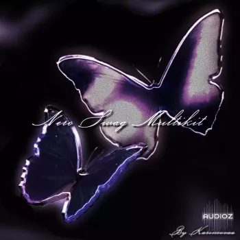 Paradigm Karinovvaa Nero Swag Multikit WAV MiDi FST-FANTASTiC