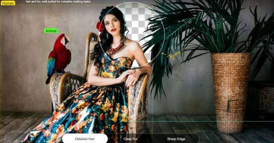 AIArty Image Matting 2.7 x64 Multilingual