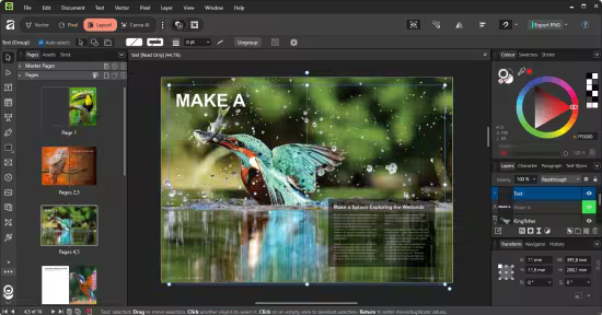 Canva Affinity 3.1.0.4231 x64 Multilingual