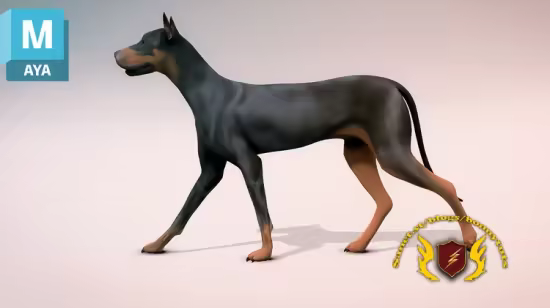 th_Ci4qLC0KF8P9ol4088y8wIYWDAbEu5Ix.avif_