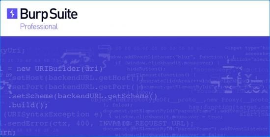 Burp Suite Professional 2025.12.3