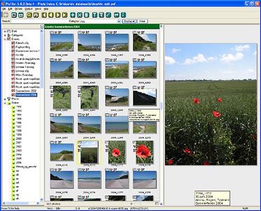 BR Soft PixFiler 5.4.4 照片分类和共享