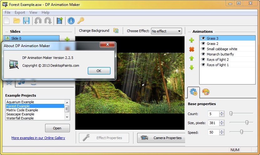 DP Animation Maker 2.2.5