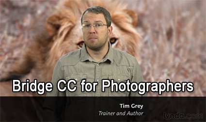 Bridge CC for Photographers