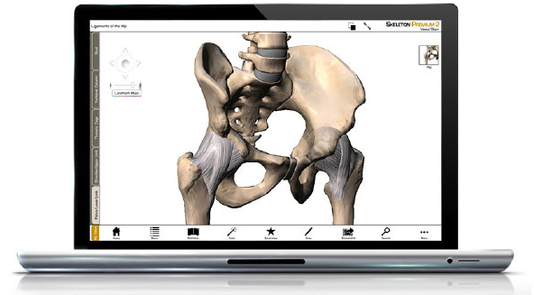 Visible Body Skeleton Premium v2.0.0 (Win / Mac OS X)