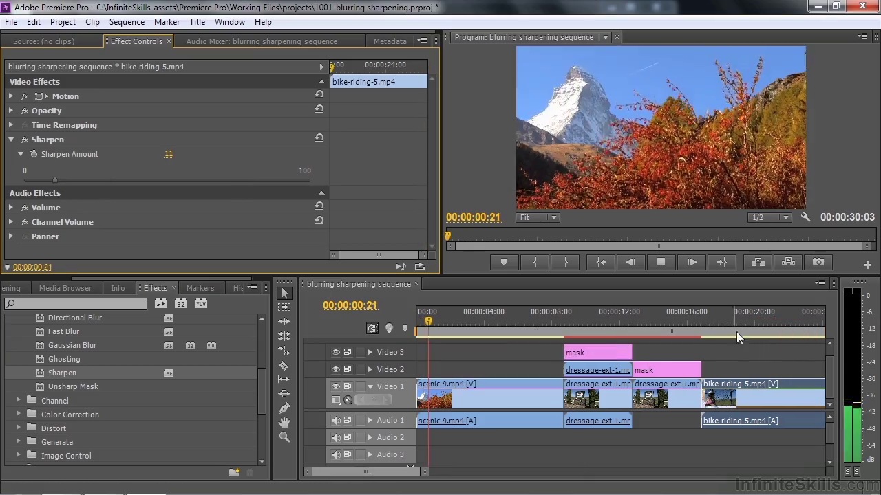 Learning Adobe Premiere Pro CC