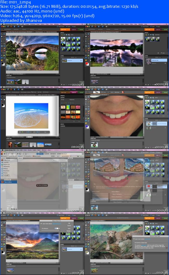 Infiniteskills - Adobe Photoshop Elements 8 [Mac]