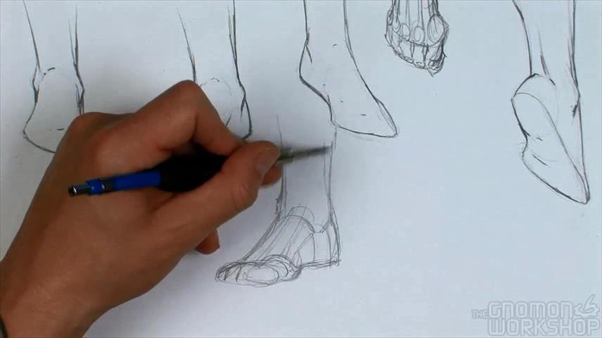 Dynamic Figure Drawing: Hands and Feet (2010)