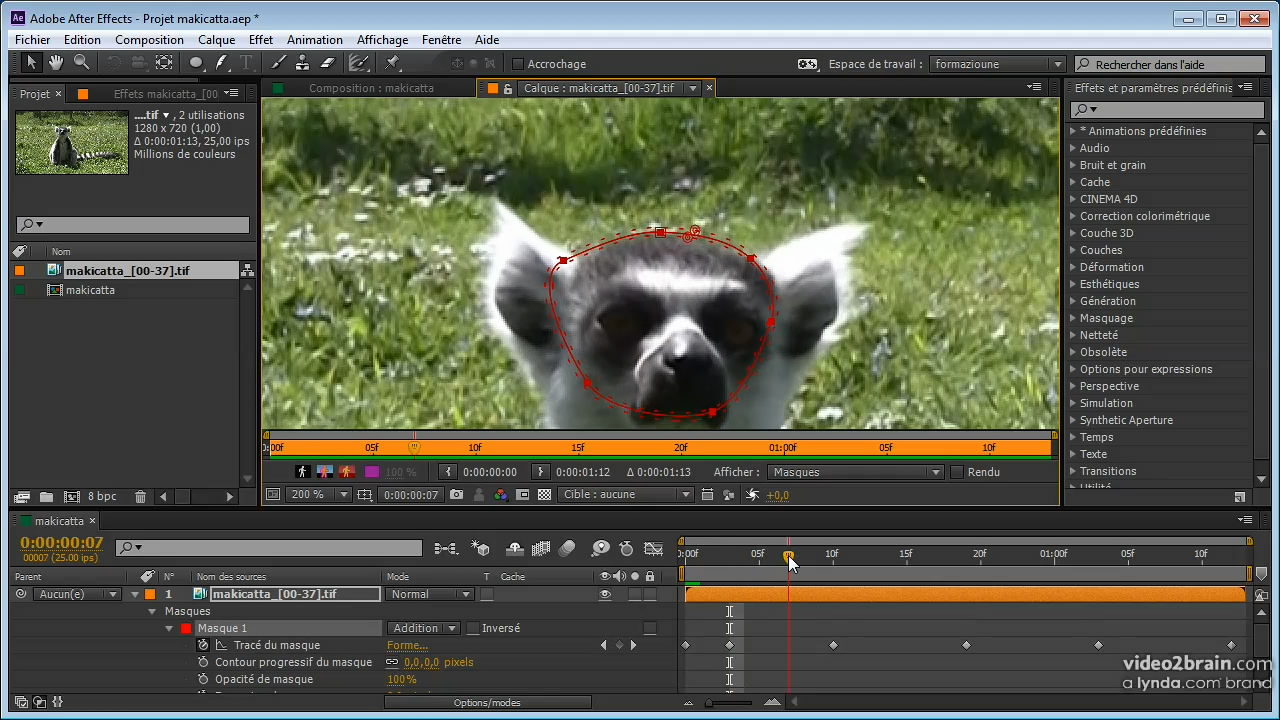 Les fondamentaux d'After Effects CC : Effets visuels et compositing