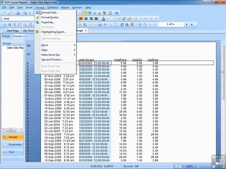 Infinite Skills - Learning SAP Crystal Reports 2011 Training Video
