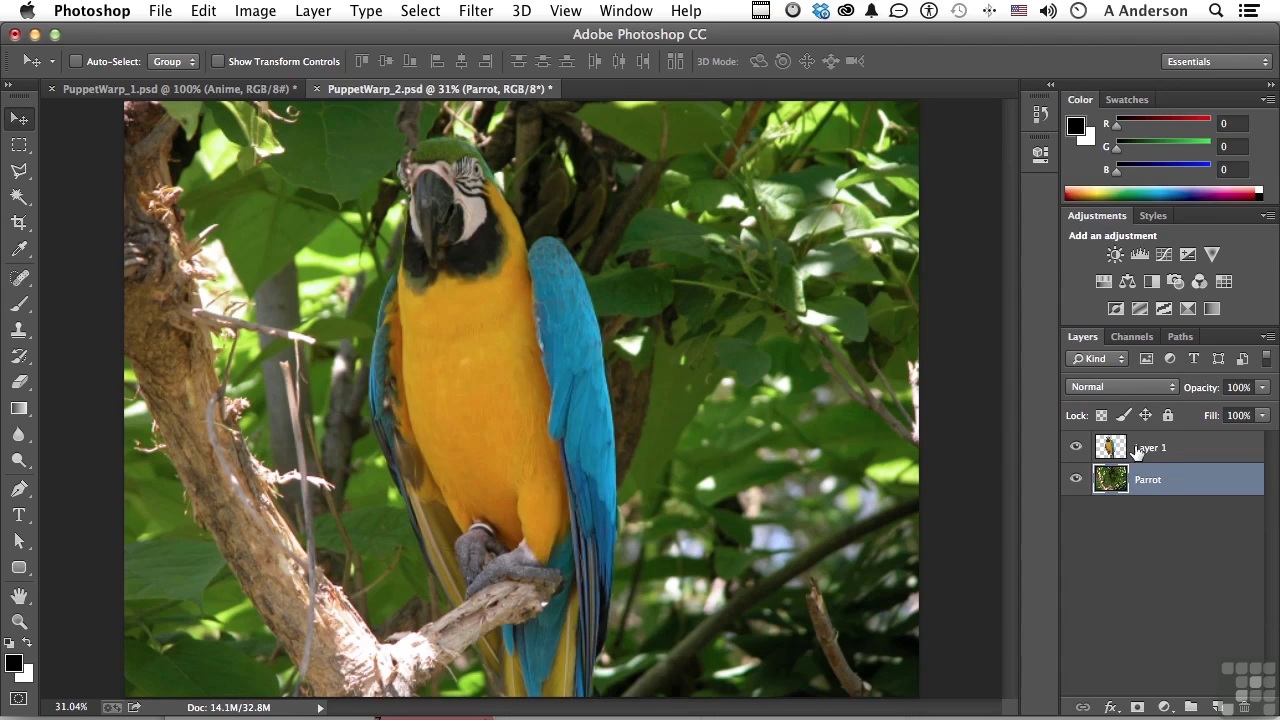 Learning Adobe Photoshop CC