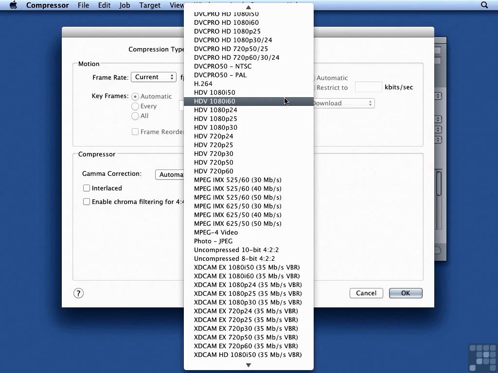 Infinite Skills - Learning Apple Compressor 4 Training Video