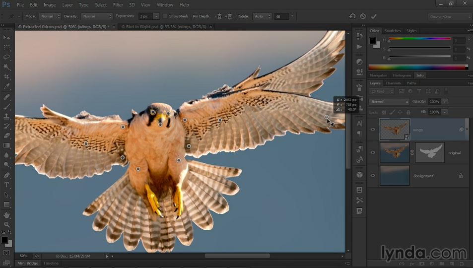 Photoshop CC One-on-One: Mastery