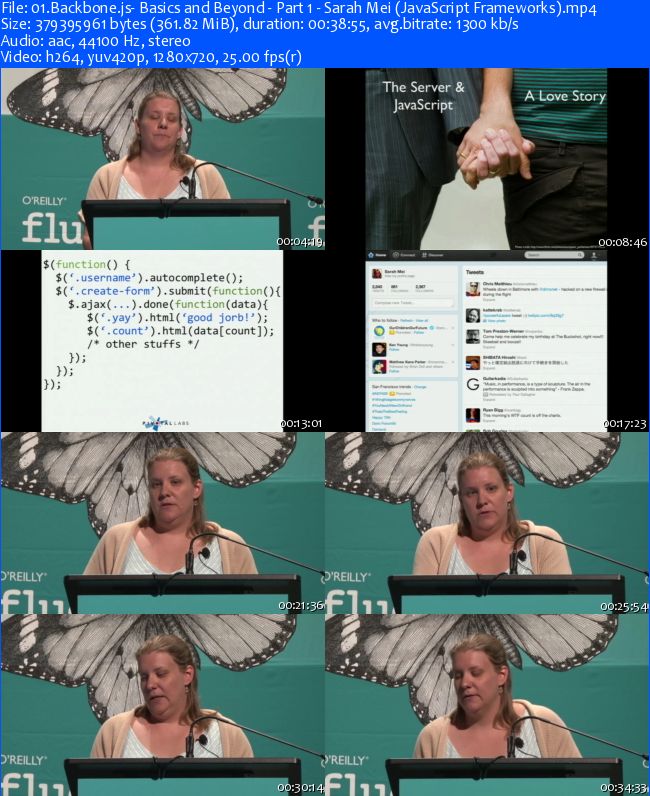 Oreilly - JavaScript Frameworks