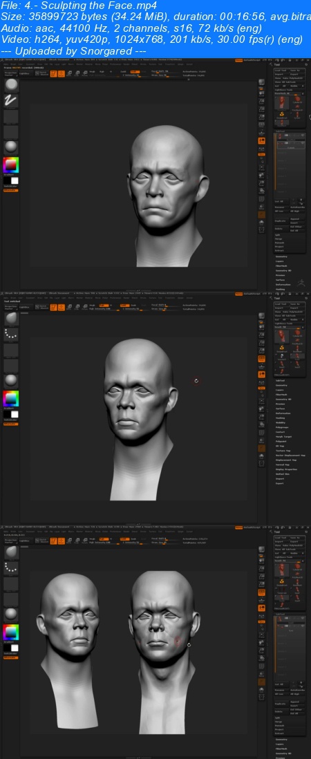 ZBrushWorkshops-Introduction to Character Creation for Games 