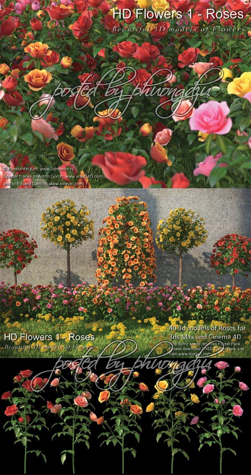 3DMentor HD Flowers 1: ROSES - FULL MAX format 3DMentor HD Flowers 1: ROSES - FULL MAX format