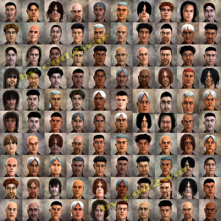 FaceGen Hair Models FaceGen Hair Models