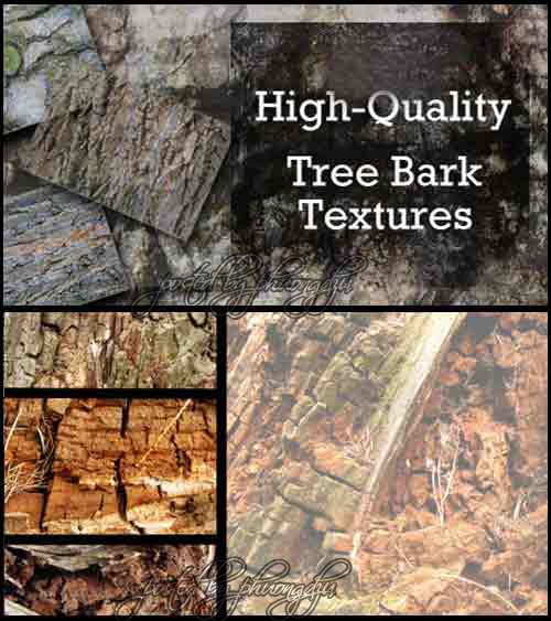 HQ Tree & Bark Texture Collection by Cutte 高品质叶和树皮纹理