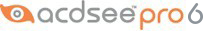 acdsee_pro6flag