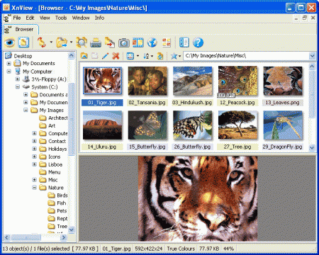 XnView 2.02 Complete Multilanguage Portable 