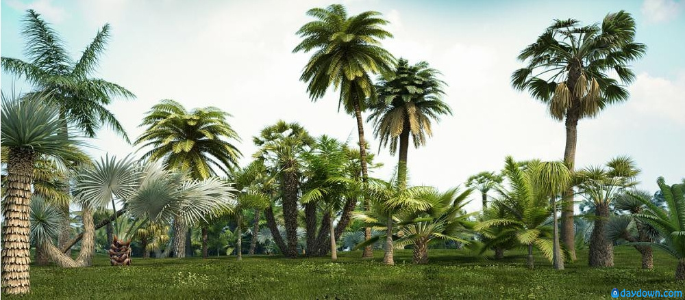 热带树木模型 iCube R&D: itrees Palm Vol.1