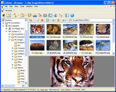 XnView 2.20 Complete Portable
