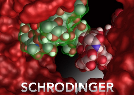 Schrödinger Suite 2013.1 (32bit)