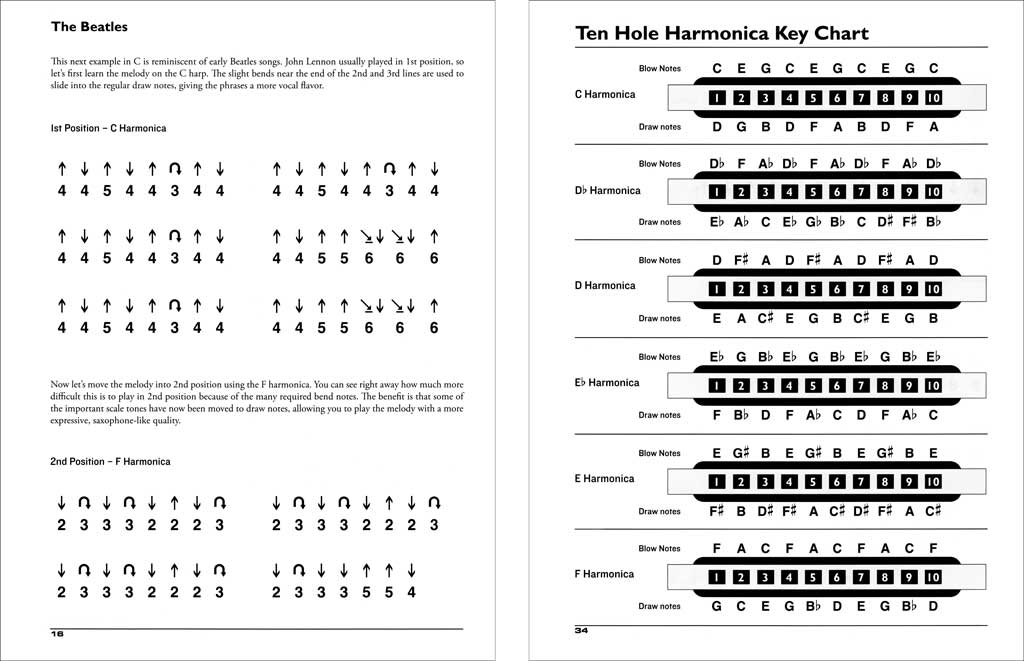 Cherry Lane Music - Rock Harmonica - Al Ek - DVD (2013)