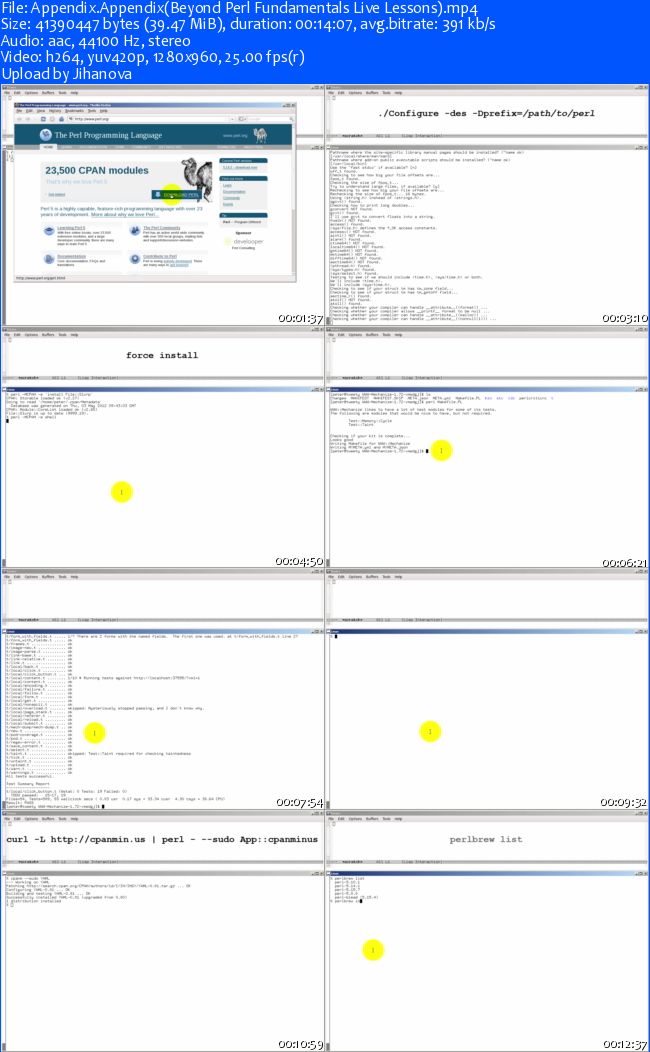 Live Lessons - Beyond Perl Fundamentals