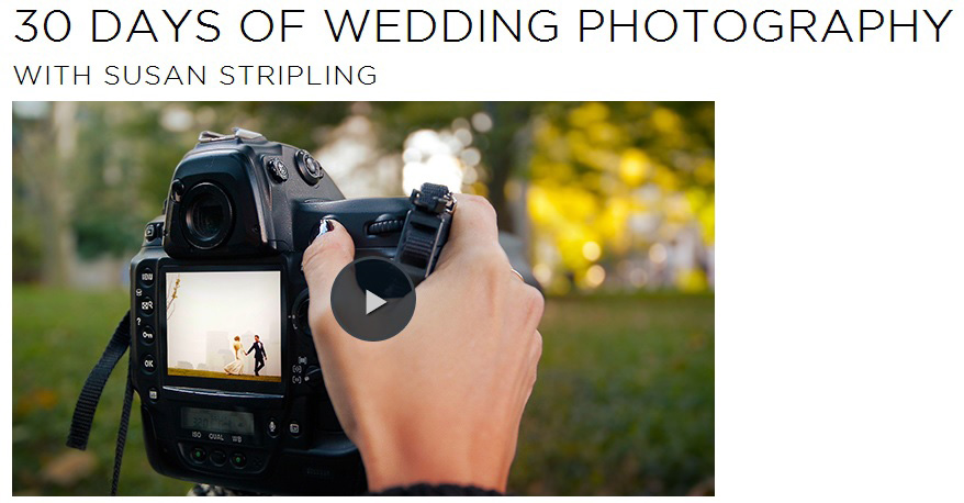 30 Days of Wedding Photography with Susan Stripling