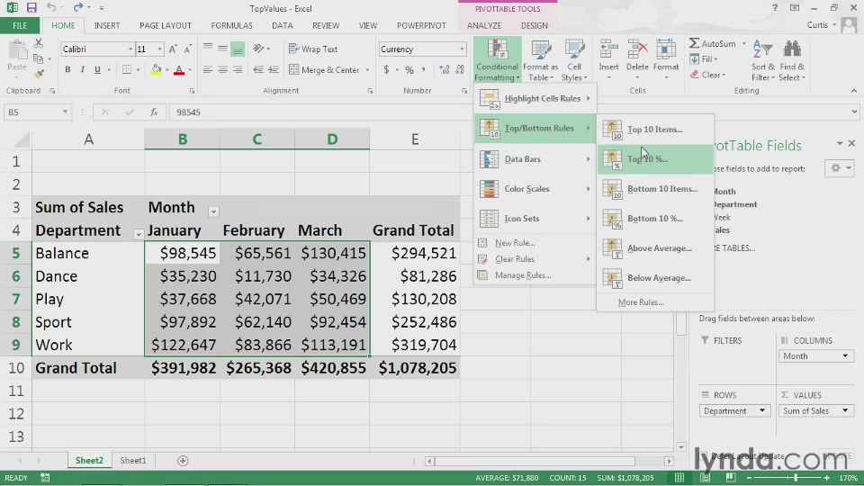 Excel 2013: Pivot Tables in Depth (2013) [repost]