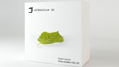 Effective 3D - Free models VOL.02: Dead leaves