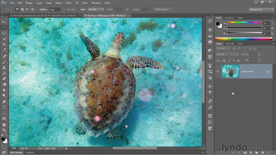 Photoshop CC One-on-One: Fundamentals (2013)