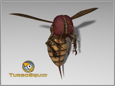 TurboSquid - Monstrous Blood Wasp