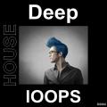  - Deep House Loops