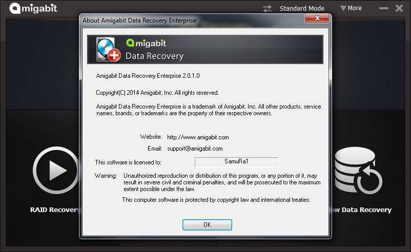 Amigabit Data Recovery Professional & Enterprise