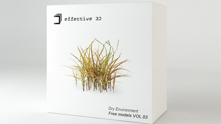 Effective 3D - Free models VOL.03: Dry Environment