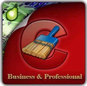 CCleaner Professional / Business 4.17.4808 Multilingual + Portable