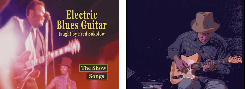 Grossman Guitar Workshop - Fred Sokolow - Electric Blues Guitar - DVD (2006)